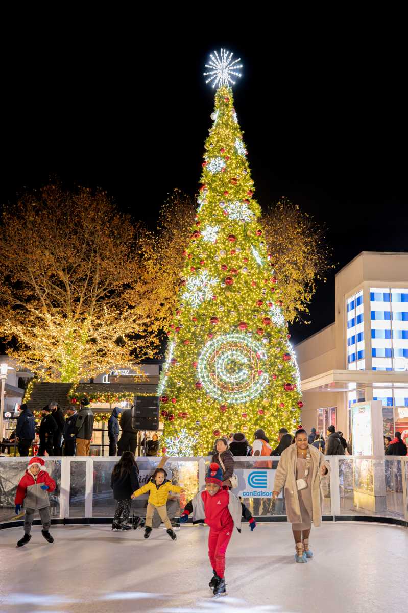 CROSSCOUNTY_TREELIGHTING_NOV25_PHOTOBY@LARUFOTOLUISRUIZ_0137 (1)