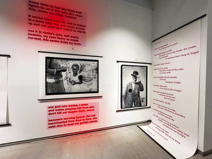 Curated by: Rose DeSiano, Dept. of Photo