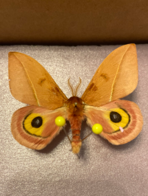 Screenshot 2025-10-21 101457