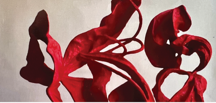 A tableau is a picturesque grouping of p