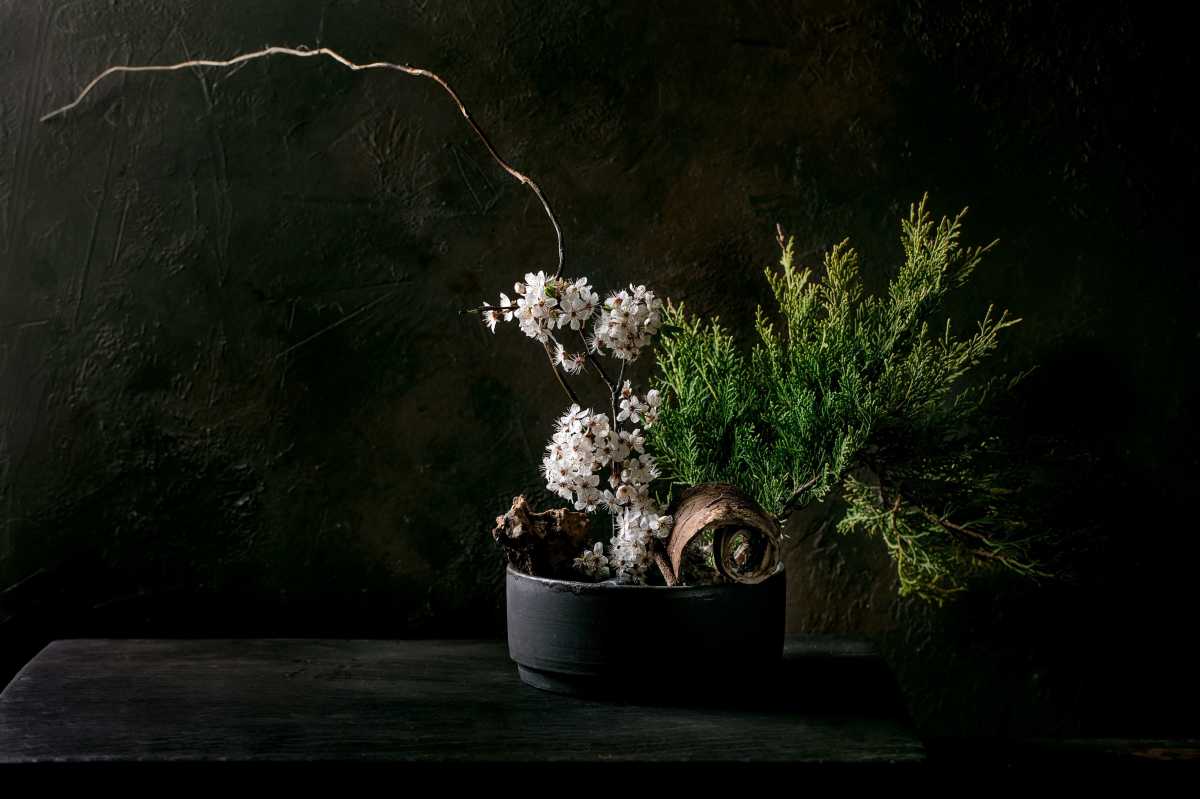 Spring ikebana with white flowers