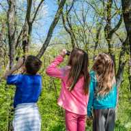 Date: February 15, 2026 Time: 9am-11:00a