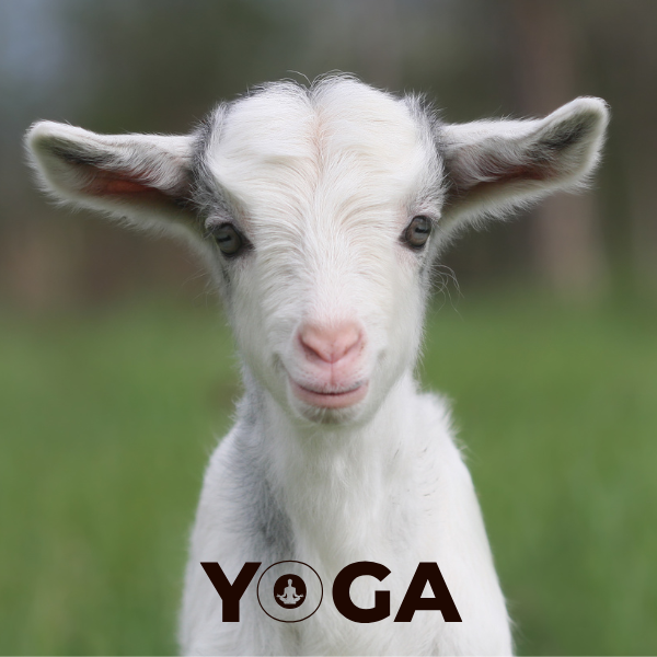 Date: January 25, 2026 Session One: 12:0