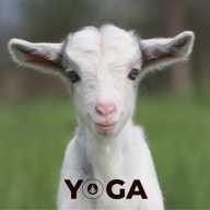 Date: January 25, 2026 Session One: 12:0