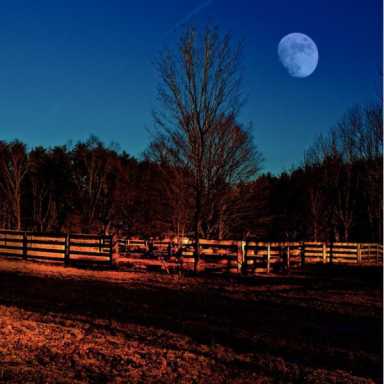 full_moon_hike_march