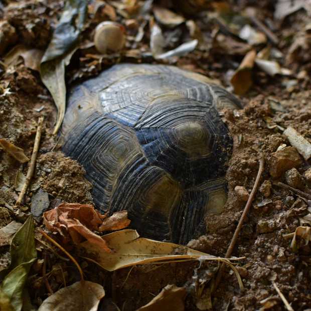 hibernation123025_orig