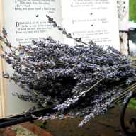 Join this club for poetry enthusiasts an