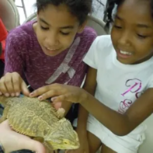 From scaly reptiles to fuzzy bunnies, co