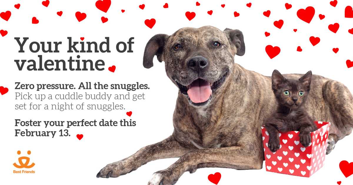 250889_Valentine’s Day Foster Event_v2_rc