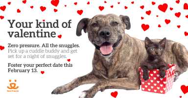 250889_Valentine’s Day Foster Event_v2_rc