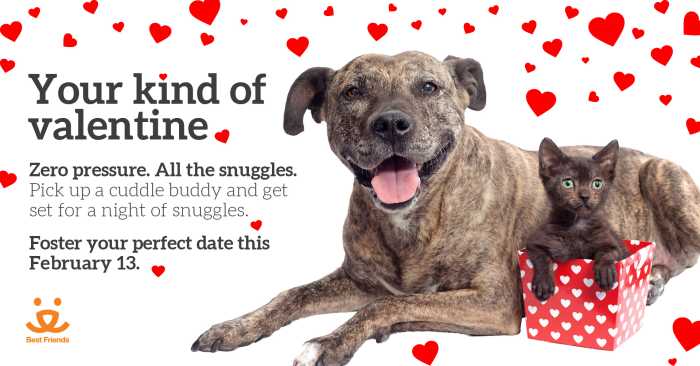 Skip the cliches and vow to spend this V