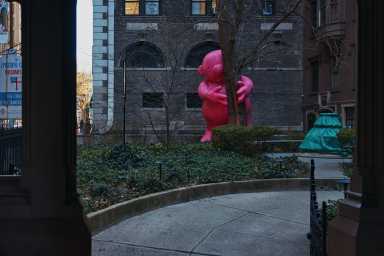 260115-FN-Mr-Pink-Day-073