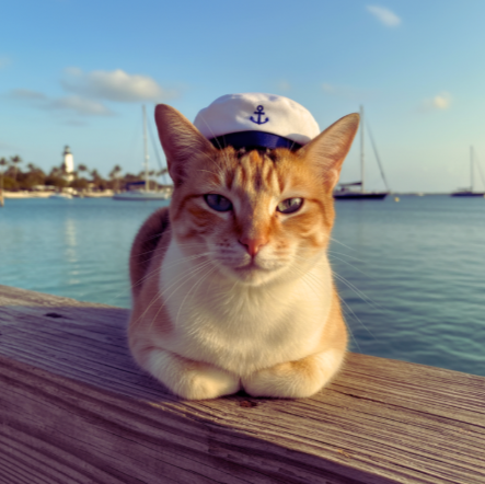 All Paws on Deck 2026