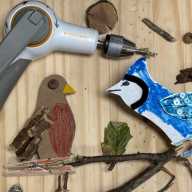 Discover which birds are found at Sheldr