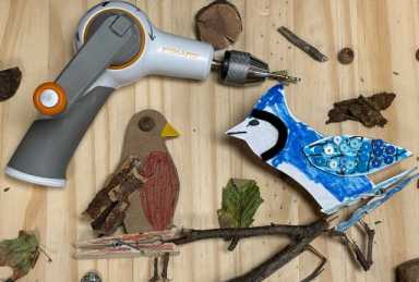 Bird Play (640 x 433 px)