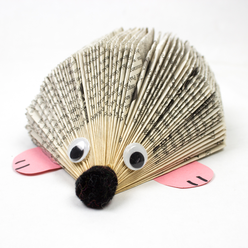 Hedgehog Book Craft
