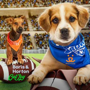Puppy Bowl