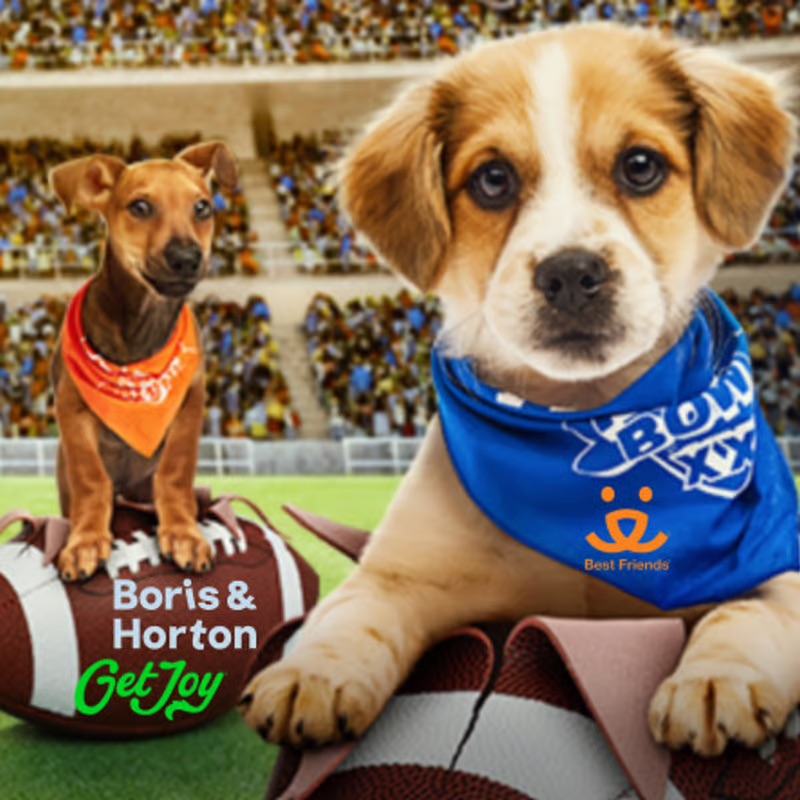 Puppy Bowl
