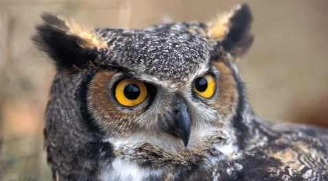 Screenshot 2025-10-21 100707