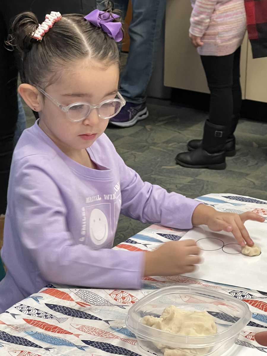 Winterfest_Emma Clark Library