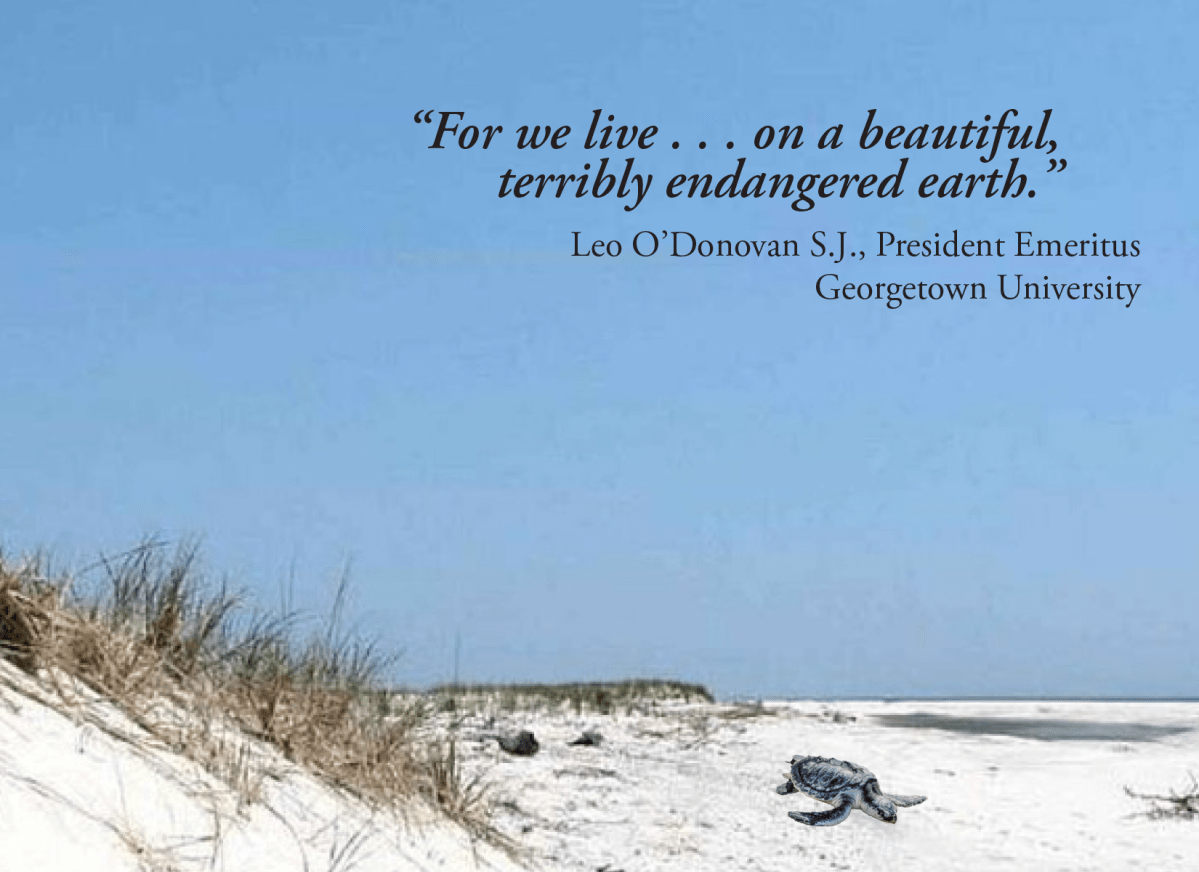 concert image only for PR w text