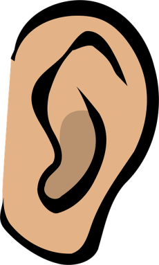 ear-25595_150