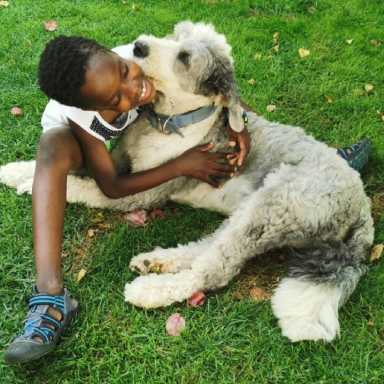 luv on a leash square