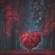 The practice of sending valentines origi