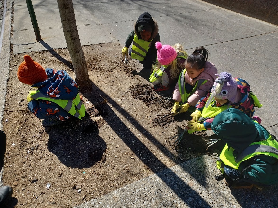 2023.03.09 Manny Cantor Center Lower East Side Street Tree Care