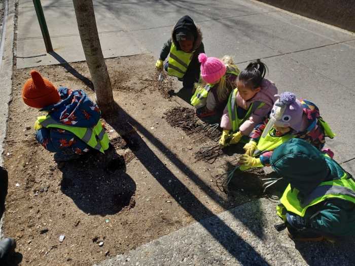 Help care for NYC’s urban forest by join