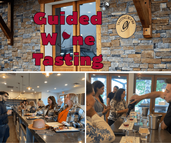 Guided Wine tasting image