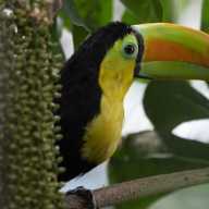 Your morning just got wild with this spe