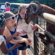 This active Caregiver & Me program w