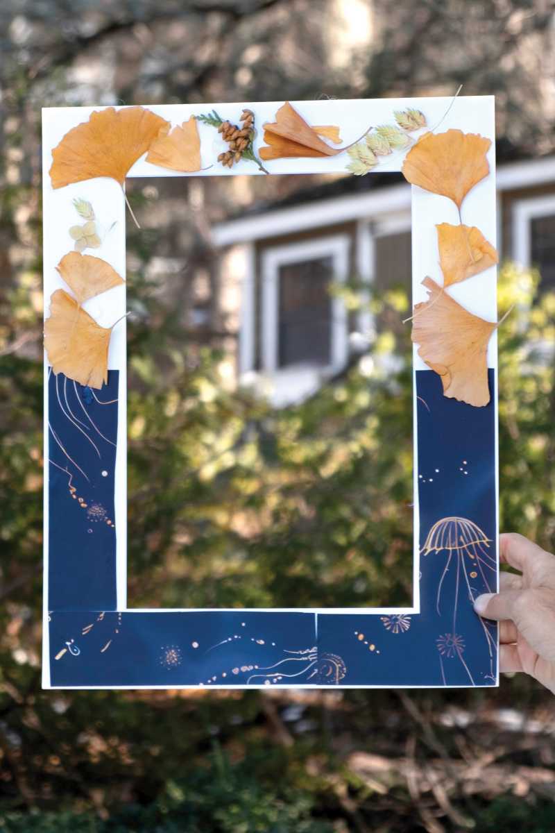 event-2026-02-frames