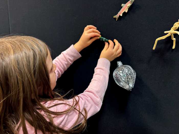 Discover the Hudson River as a living, w