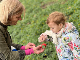 Satisfy your toddler’s curiosity with fu