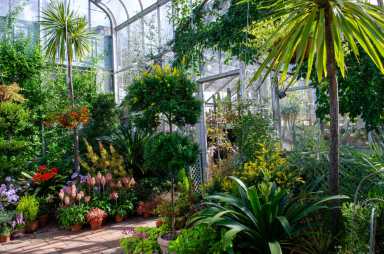 wave-hill_Exploring-Biomes_credit-Wave-Hill