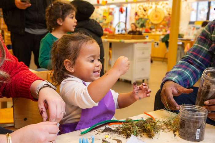 How does Wave Hill protect plants in the