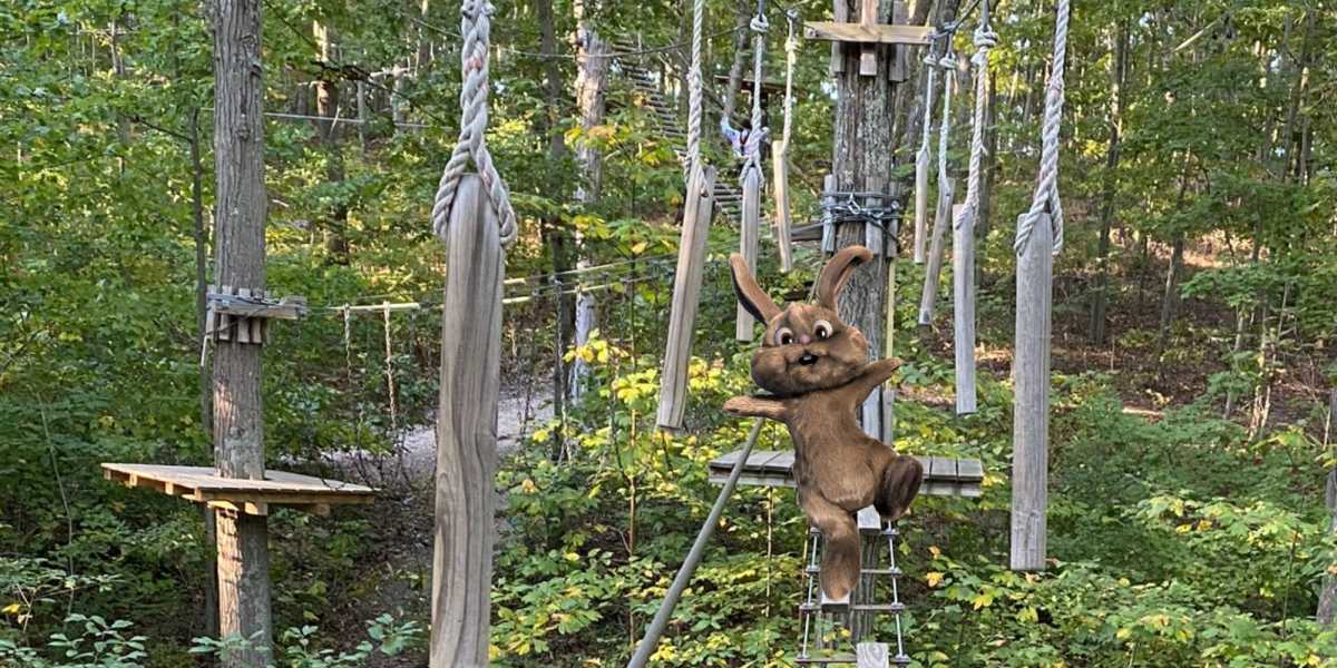 Easter Egg Hunt in the Trees